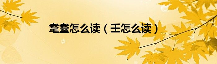 耄耋怎么读（壬怎么读）
