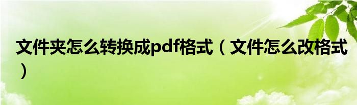 文件夹怎么转换成pdf格式（文件怎么改格式）