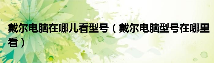 戴尔电脑在哪儿看型号（戴尔电脑型号在哪里看）