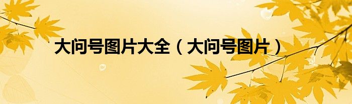 大问号图片大全（大问号图片）