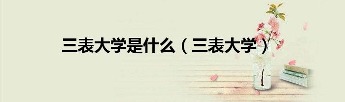 三表大学是什么（三表大学）