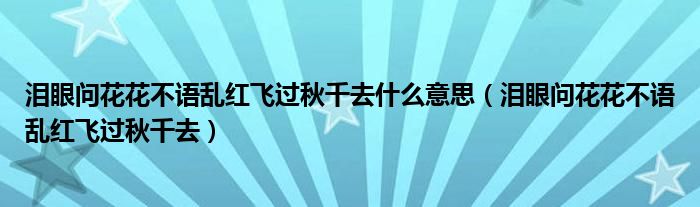 泪眼问花花不语乱红飞过秋千去什么意思（泪眼问花花不语乱红飞过秋千去）