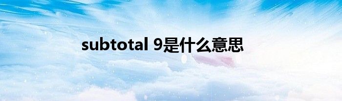 subtotal 9是什么意思