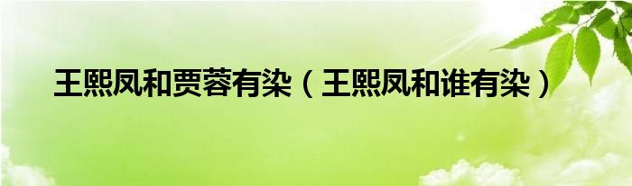 王熙凤和贾蓉有染（王熙凤和谁有染）