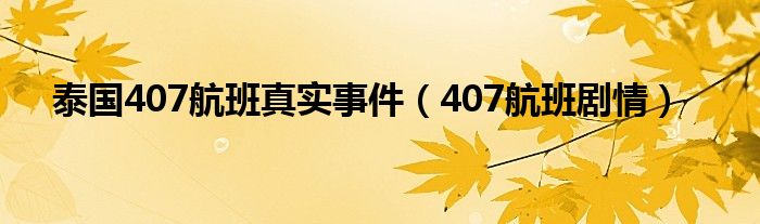 泰国407航班真实事件（407航班剧情）