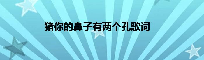 猪你的鼻子有两个孔歌词