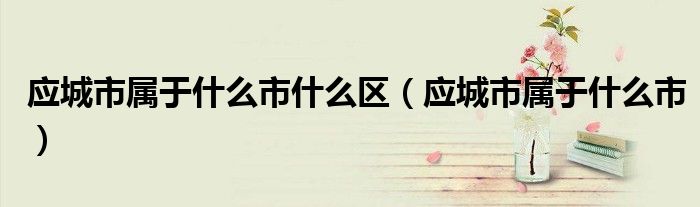应城市属于什么市什么区（应城市属于什么市）