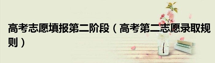 高考志愿填报第二阶段（高考第二志愿录取规则）