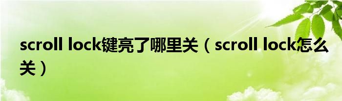 scroll lock键亮了哪里关（scroll lock怎么关）