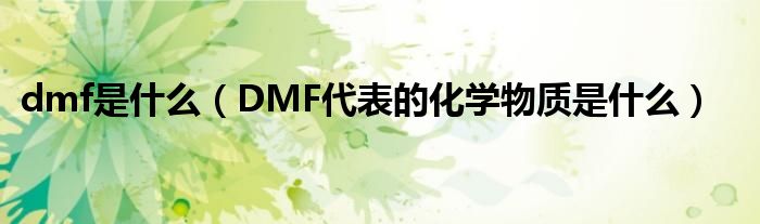 dmf是什么（DMF代表的化学物质是什么）