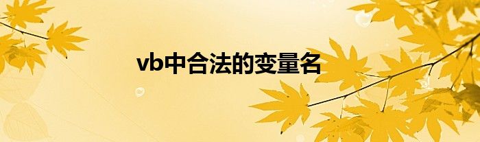 vb中合法的变量名