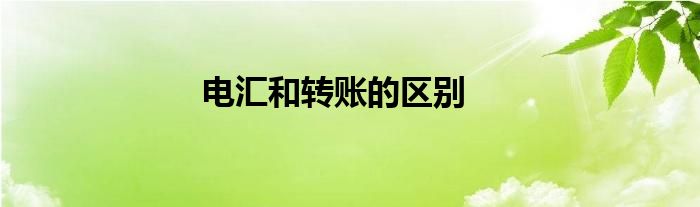 电汇和转账的区别