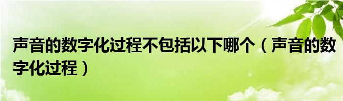 声音的数字化过程不包括以下哪个（声音的数字化过程）