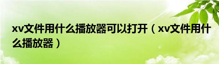 xv文件用什么播放器可以打开（xv文件用什么播放器）