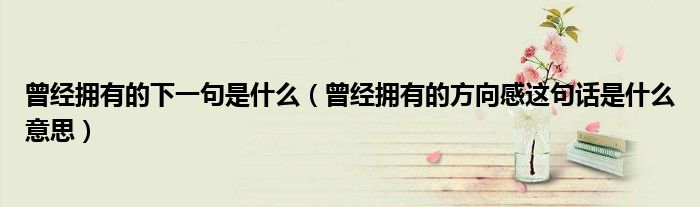 曾经拥有的下一句是什么（曾经拥有的方向感这句话是什么意思）