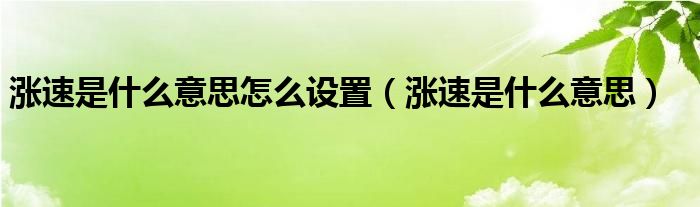 涨速是什么意思怎么设置（涨速是什么意思）