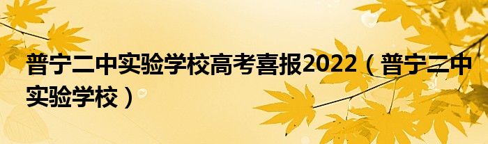 普宁二中实验学校高考喜报2022（普宁二中实验学校）