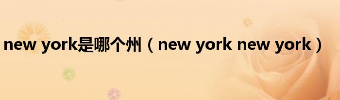 new york是哪个州（new york new york）