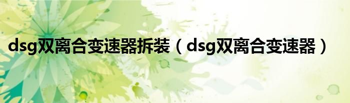 dsg双离合变速器拆装（dsg双离合变速器）
