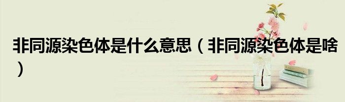 非同源染色体是什么意思（非同源染色体是啥）
