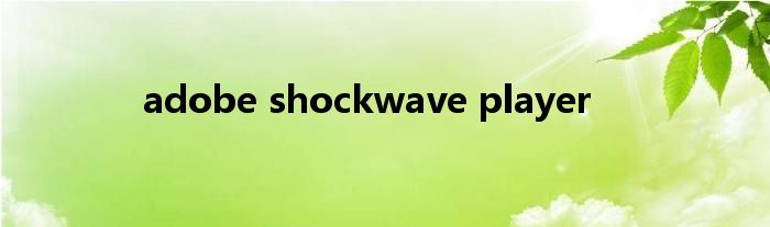 adobe shockwave player