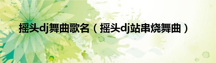 摇头dj舞曲歌名（摇头dj站串烧舞曲）