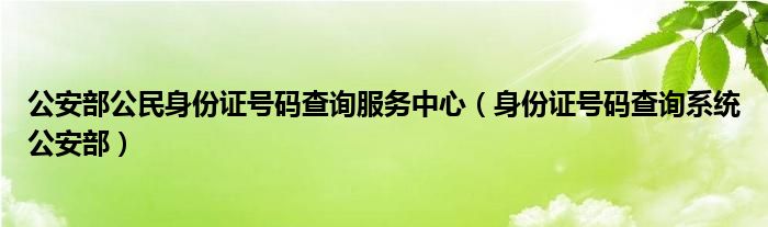 公安部公民身份证号码查询服务中心（身份证号码查询系统公安部）