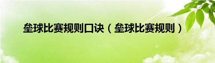 垒球比赛规则口诀（垒球比赛规则）