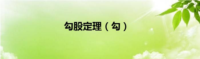 勾股定理（勾）