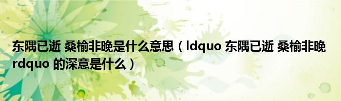 东隅已逝 桑榆非晚是什么意思（ldquo 东隅已逝 桑榆非晚 rdquo 的深意是什么）
