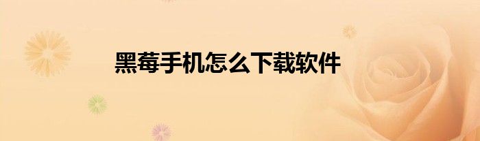 黑莓手机怎么下载软件
