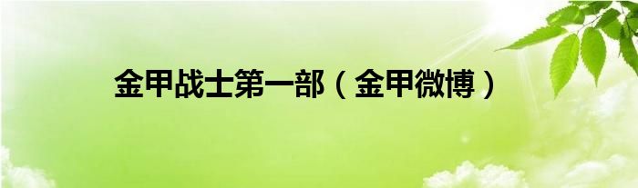 金甲战士第一部（金甲微博）