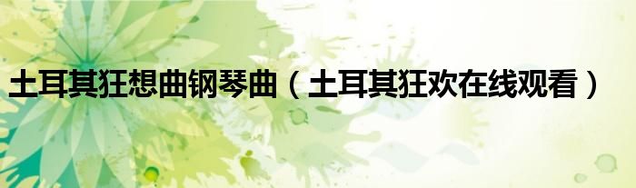 土耳其狂想曲钢琴曲（土耳其狂欢在线观看）