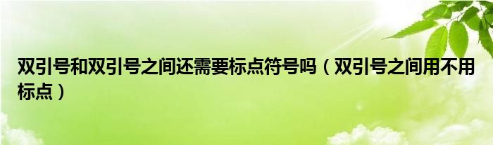 双引号和双引号之间还需要标点符号吗（双引号之间用不用标点）