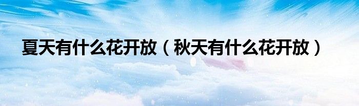 夏天有什么花开放（秋天有什么花开放）