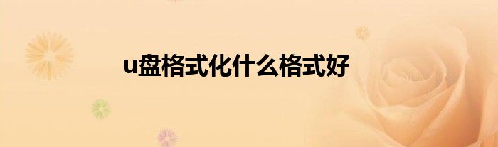 u盘格式化什么格式好