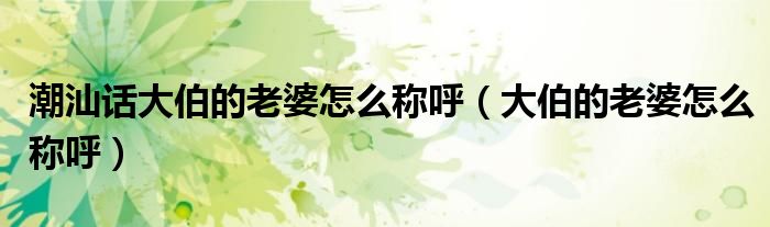 潮汕话大伯的老婆怎么称呼（大伯的老婆怎么称呼）