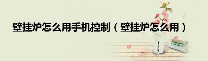 壁挂炉怎么用手机控制（壁挂炉怎么用）
