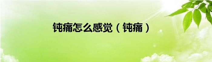 钝痛怎么感觉（钝痛）
