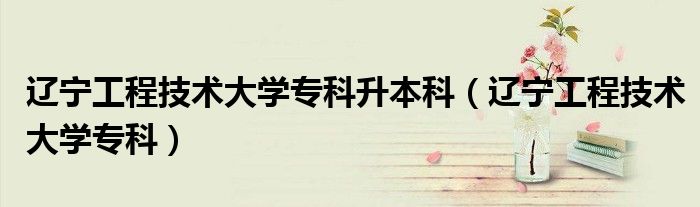 辽宁工程技术大学专科升本科（辽宁工程技术大学专科）