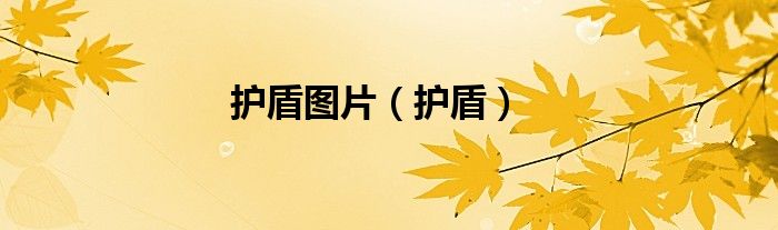 护盾图片（护盾）