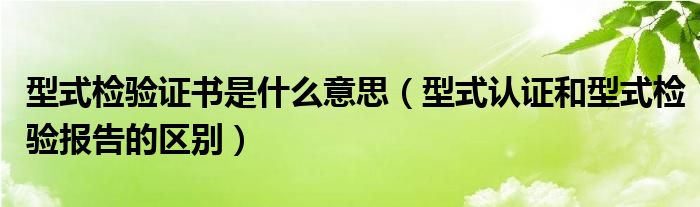 型式检验证书是什么意思（型式认证和型式检验报告的区别）