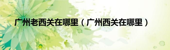 广州老西关在哪里（广州西关在哪里）