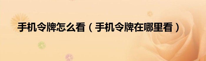 手机令牌怎么看（手机令牌在哪里看）