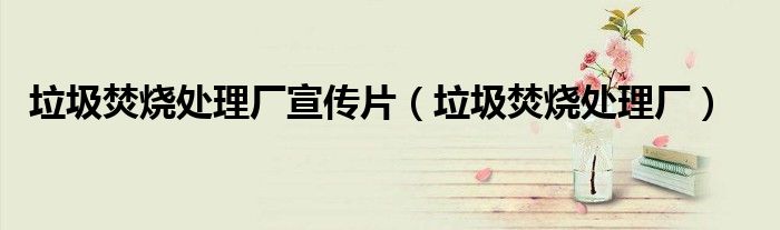 垃圾焚烧处理厂宣传片（垃圾焚烧处理厂）
