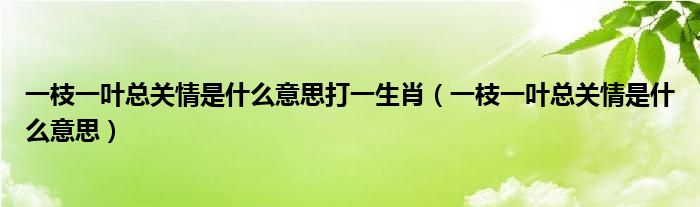 一枝一叶总关情是什么意思打一生肖（一枝一叶总关情是什么意思）