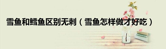 雪鱼和鳕鱼区别无刺（雪鱼怎样做才好吃）