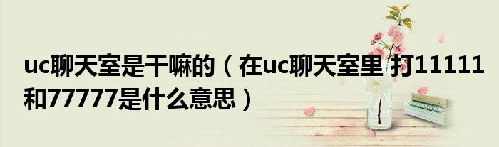 uc聊天室是干嘛的（在uc聊天室里 打11111和77777是什么意思）