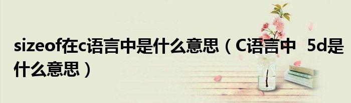 sizeof在c语言中是什么意思（C语言中  5d是什么意思）