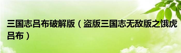 三国志吕布破解版（盗版三国志无敌版之饿虎吕布）